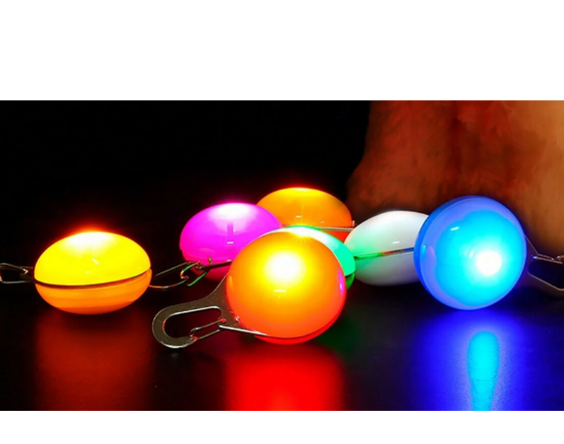 Lumière de sécurité LED pour chien Orange