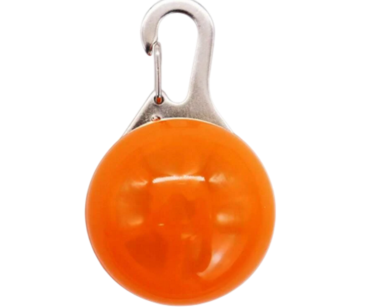 Lumière de sécurité LED pour chien Orange