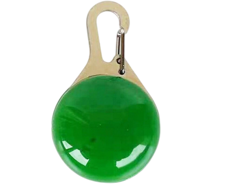 Lumière de sécurité LED pour chien verte