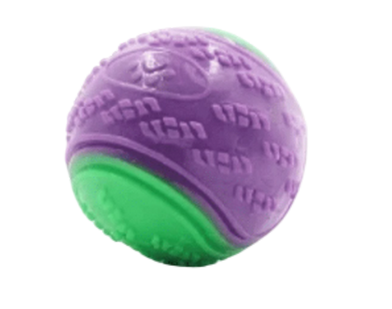 Balle à couinement pour chien verte et violette