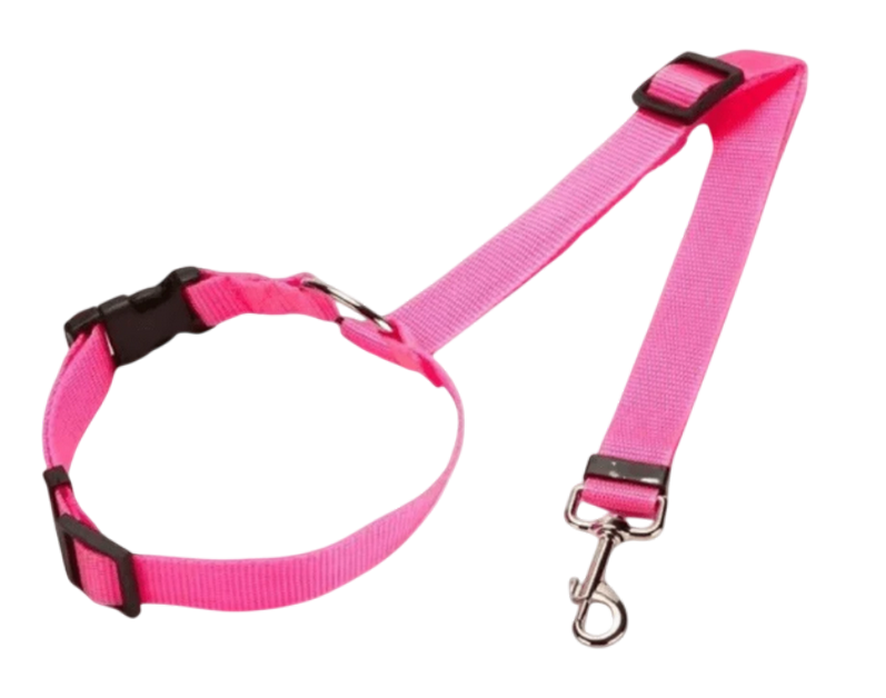 Ceinture de sécurité voiture Réglable pour chien coloris rose claire