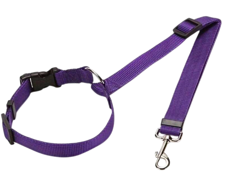 Ceinture de sécurité voiture Réglable pour chien coloris violet