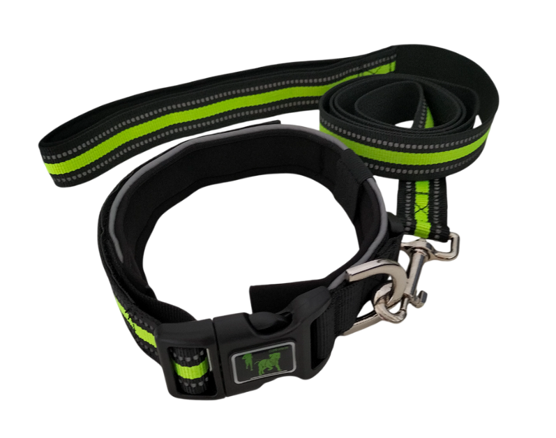 Ensemble collier et laisse pour chien réfléchissant