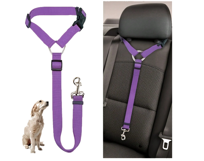 Ceinture de sécurité voiture Réglable pour chien coloris violet