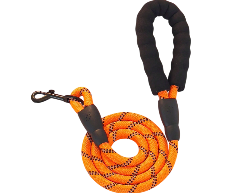 Laisse nylon pour chien réfléchissante orange