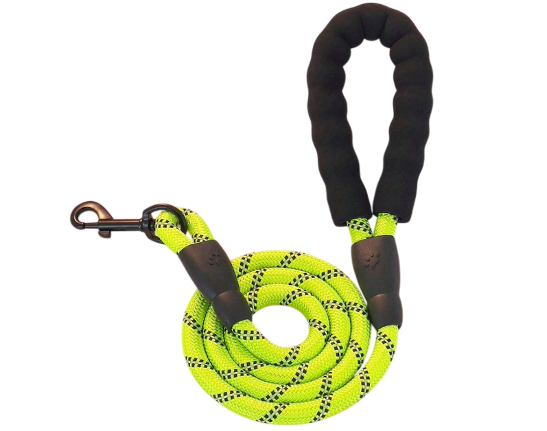 Laisse nylon pour chien réfléchissante verte