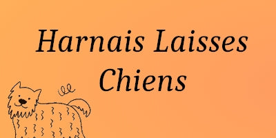 Harnais et laisses chiens