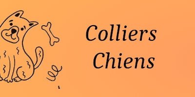 Colliers Chiens