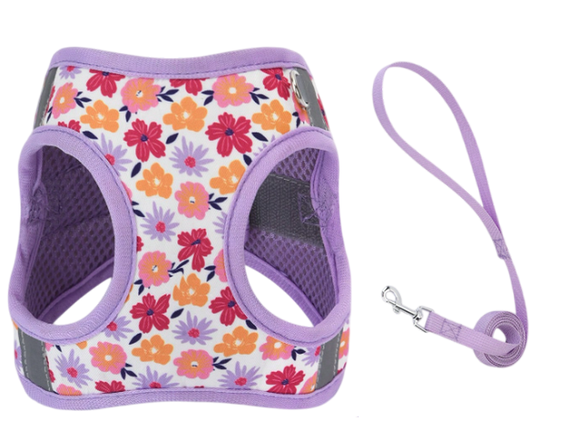 Harnais avec laisse motif floral violet