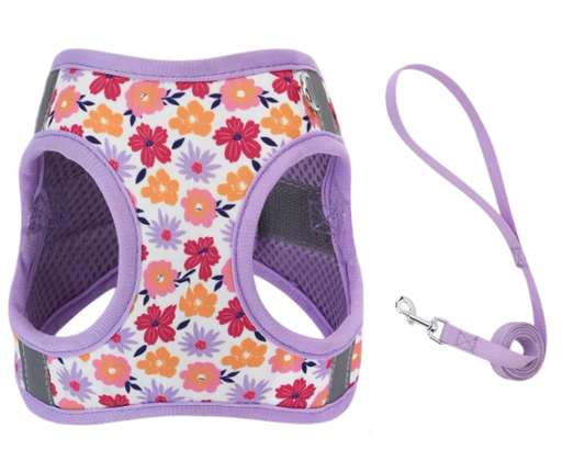 Harnais avec laisse motif floral violet