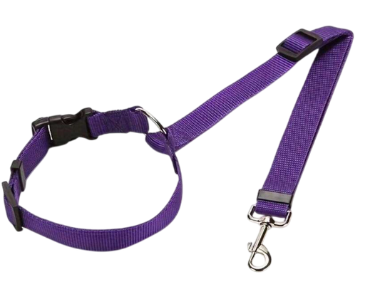 Ceinture de sécurité voiture Réglable pour chien coloris violet