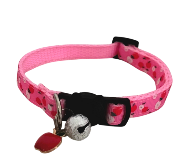 Collier pour chat sa breloque Pomme et sa clochette