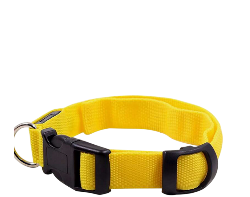 Collier pour chien coloris jaune LED lumineux Taille M