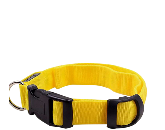 Collier pour chien coloris jaune LED lumineux Taille M