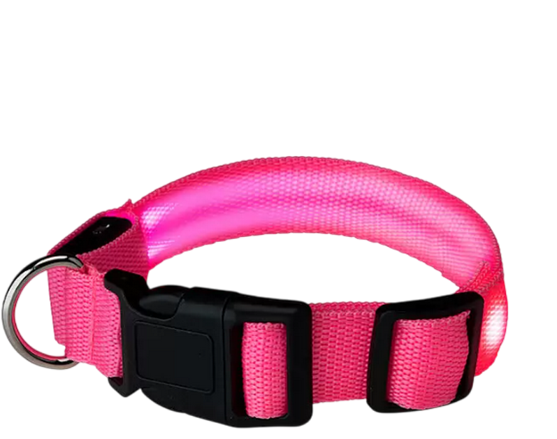 Collier pour chien coloris rose LED lumineux Taille M