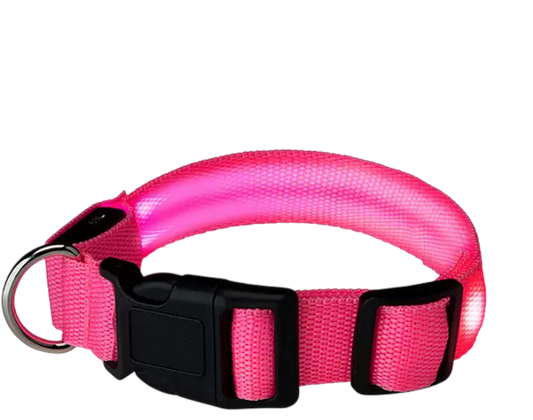 Collier pour chien coloris rose LED lumineux Taille M