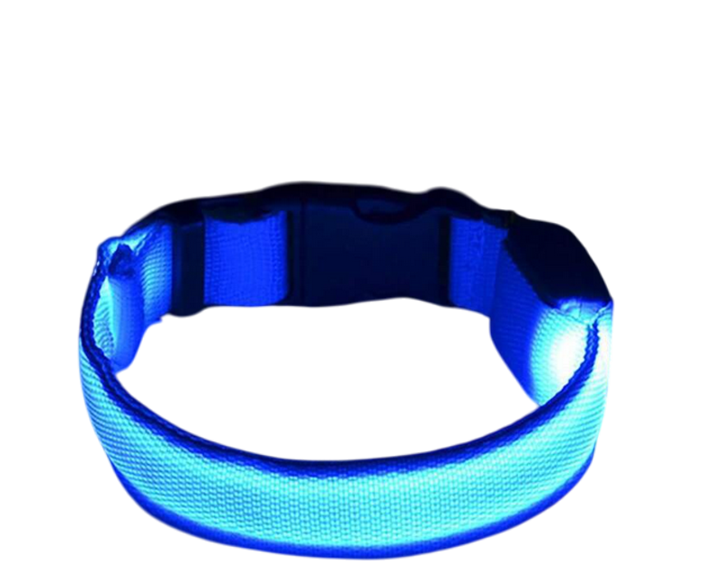 Collier pour chien coloris bleu LED lumineux Taille M