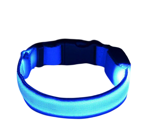 Collier pour chien coloris bleu LED lumineux Taille M