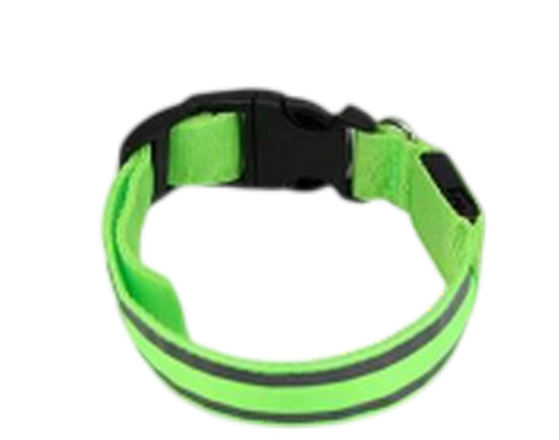 Collier pour chien coloris Vert LED lumineux réfléchissant