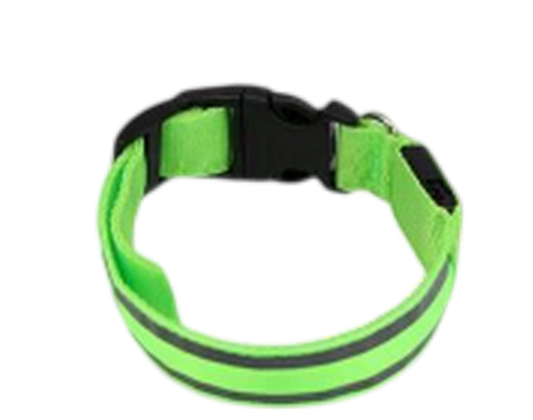 Collier pour chien coloris Vert LED lumineux réfléchissant