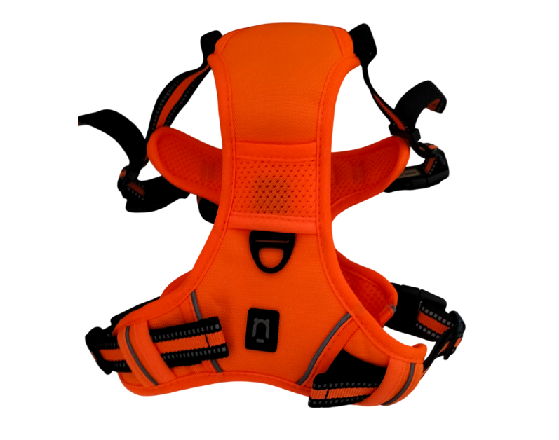 Ensemble harnais et laisse anti-fuite pour chien