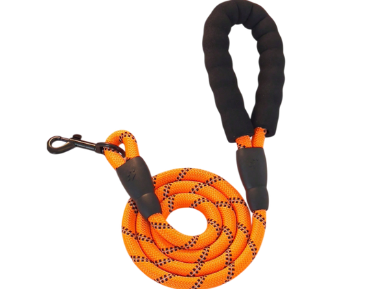 Laisse nylon pour chien réfléchissante orange